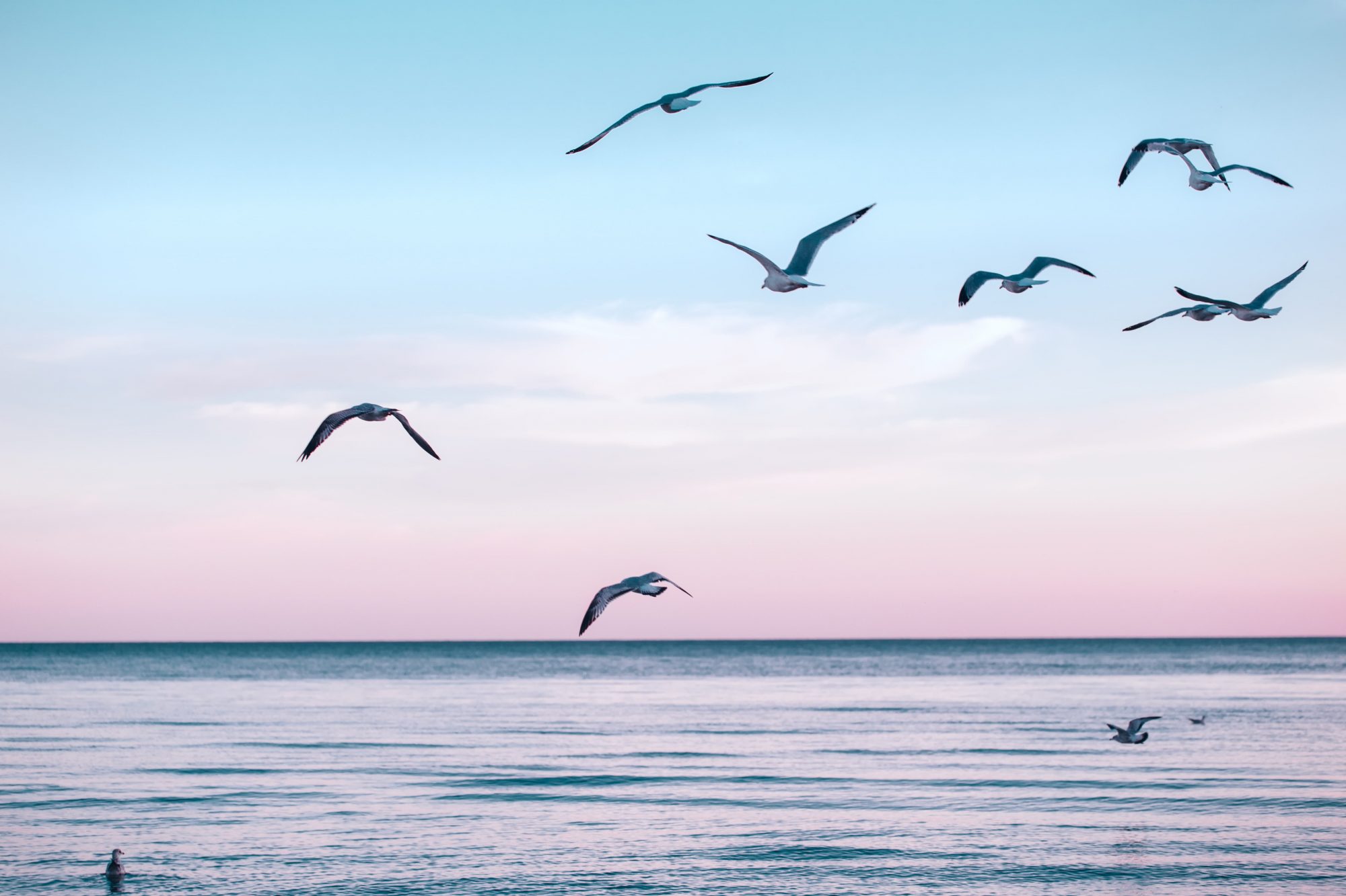 Resources - Sanibel Harbour Yacht Club